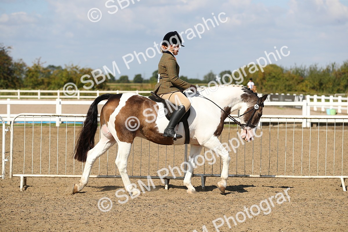 SBM_03099 - Class 44 Riding Club Horse/ Pony