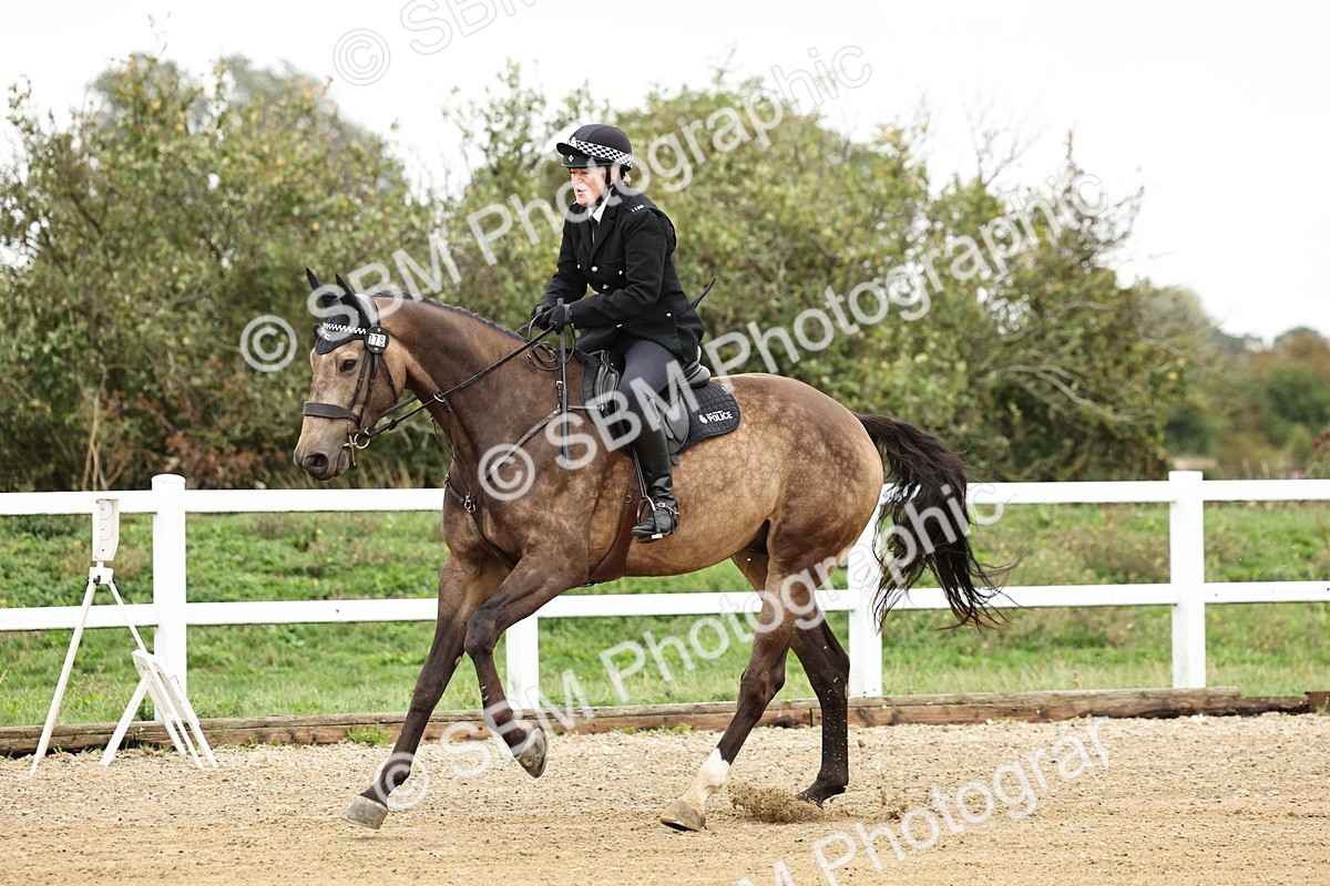 SBM_006266 - Class 74 - 85cm