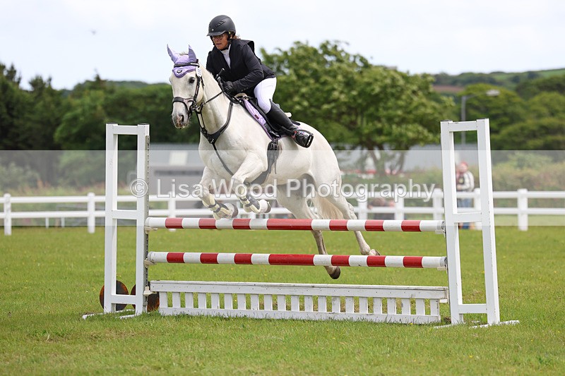 3E7A7742 - Class 13: Senior British Novice/90cm open