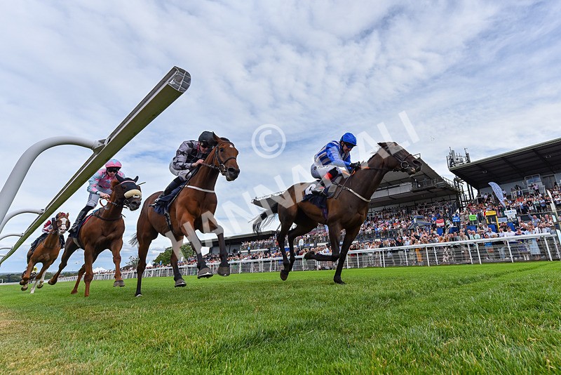 050725-Race 6-Dandys Angel-6210 - Race 6