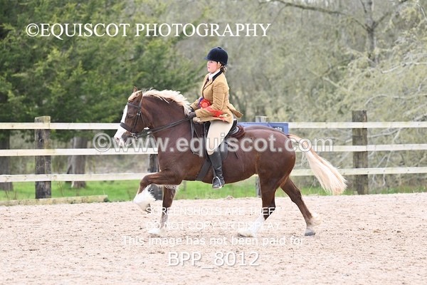 BPP_8012 - SUPREME CHAMPIONSHIP