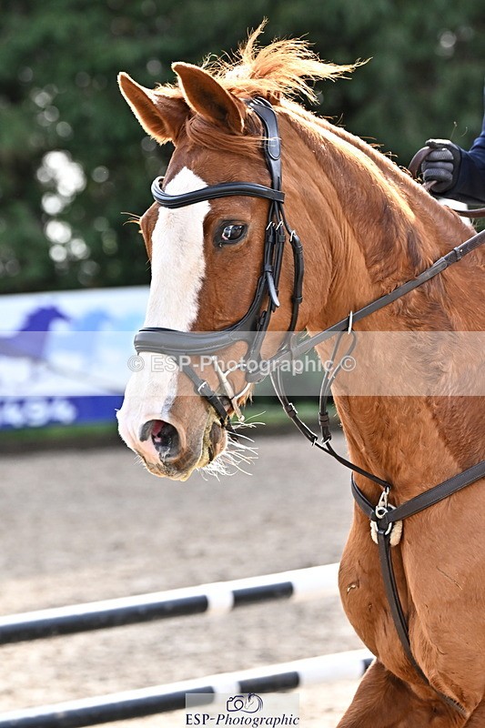 260222A-134316-01040 - 70cm All sections