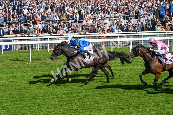 160525-Race 4-Rebels Romance-6723 - Race 4 3.45pm Boodles Yorkshire Cup Stakes
