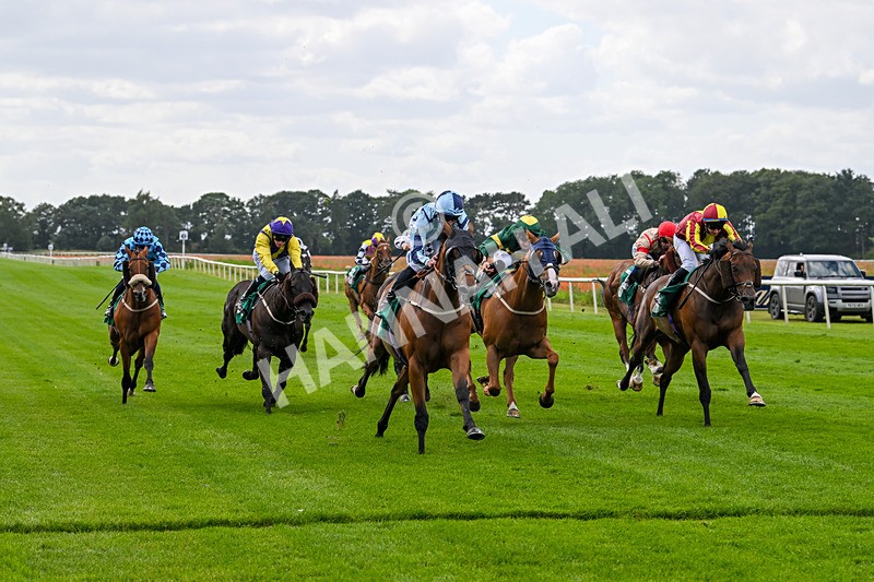 030824-Race 3-Alligator Alley-1657 - Race 3