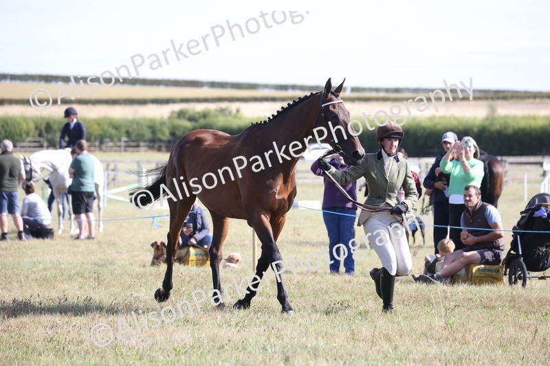 20260906-0706 - Class 22 - Ex Racehorse
