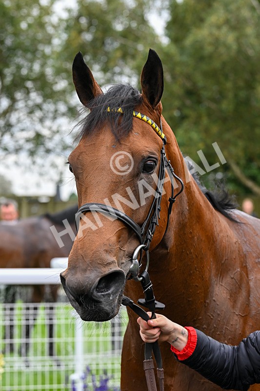 150824-Race 1-Lothlorien-7367 - Race 1