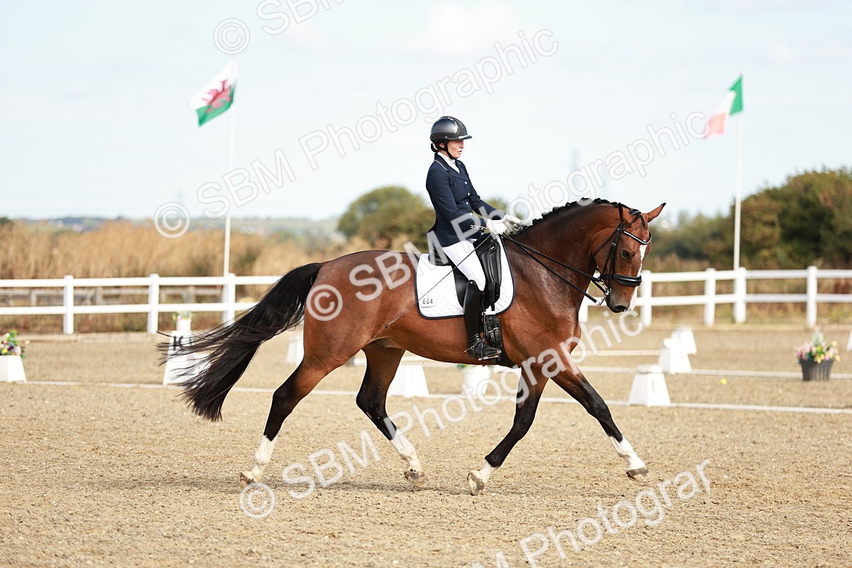 SBM_008730