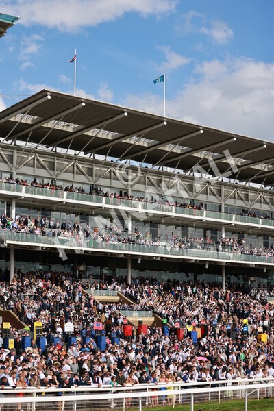 yr21052022r7-19 - Race 7: 5:15pm Reg Bond Always and Forever Stakes