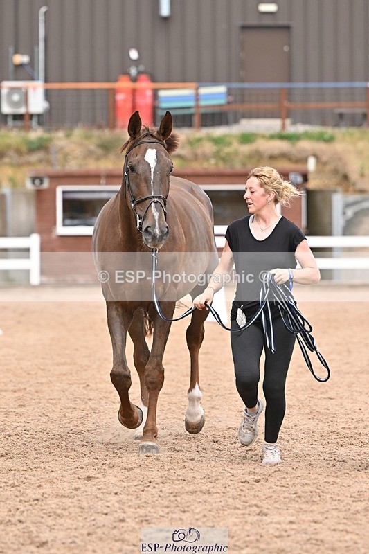 250716-162009-02576 - Trot Up 3.30 to 4.30