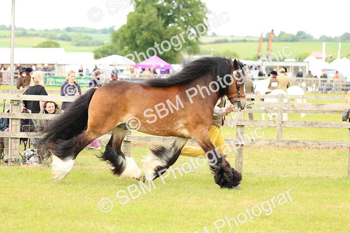 SBM_06281 - Class 39-41 TGCA In Hand and Ridden
