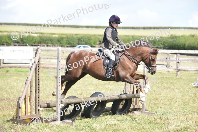 20250831-3923 - Class 11 - Working Hunter Pony 13hh and Under