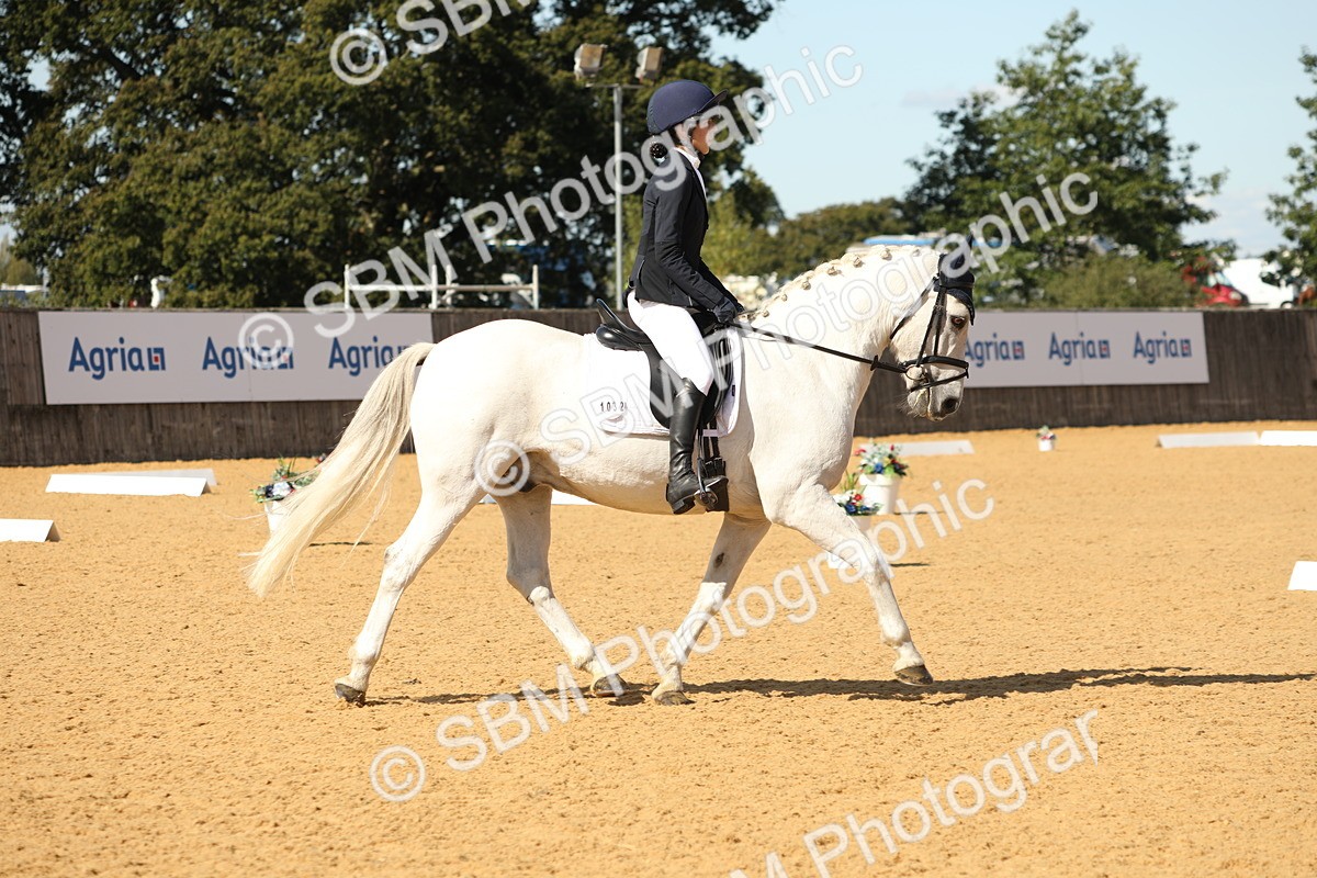 SBM_22360 - D17 - Grand Tour Championship - Novice 27