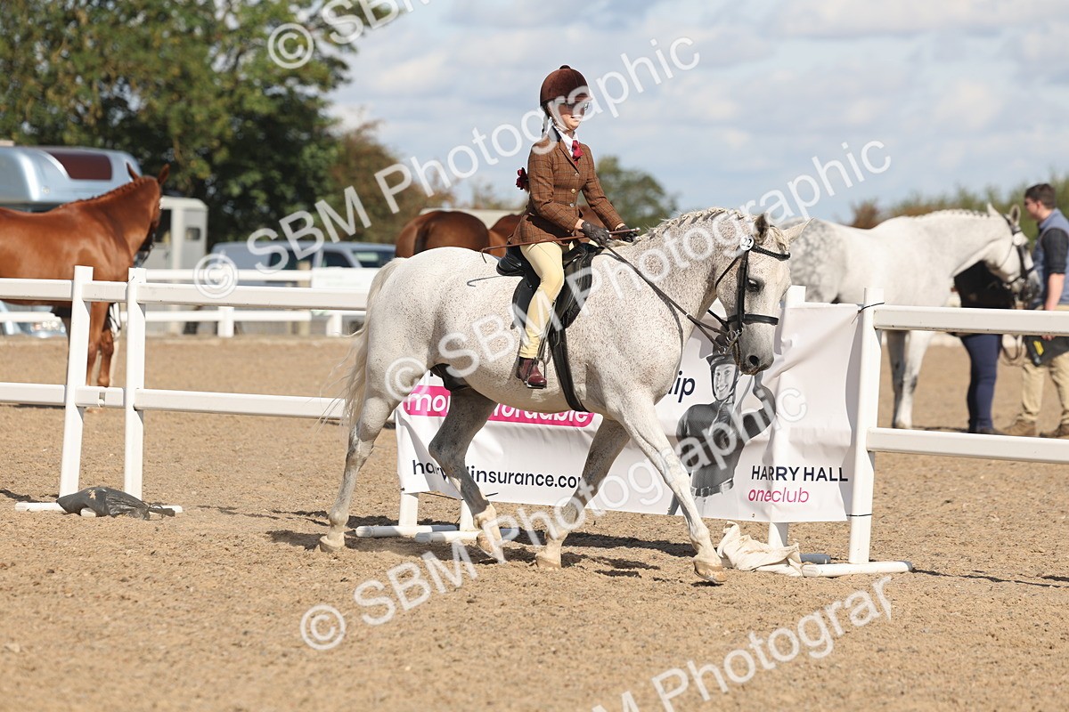 SBM_13168 - Class 306 - Ridden Foreign Breds - Part Bred