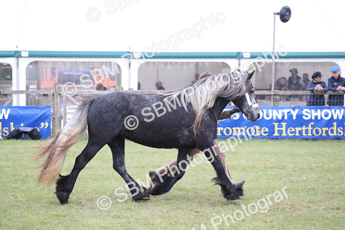 SBM_09860 - Ch 50 - Price Family Supreme In Hand