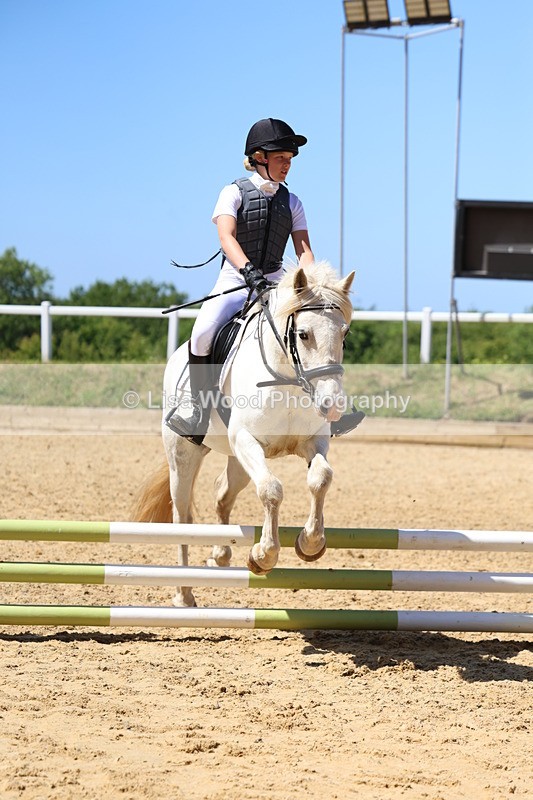 3E7A2526 - Class 4/5: 60cm Open Teams and Individuals