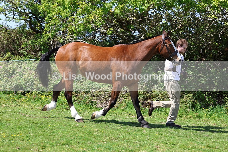 3E7A0275 - Class 19: Best Coloured in Hand