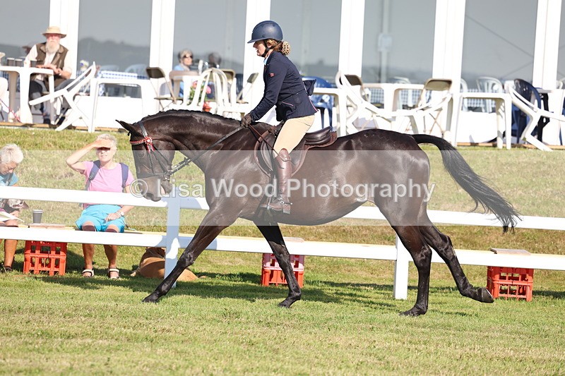3E7A5629 - Class 2: Rising Star Large Hack/Riding Horse