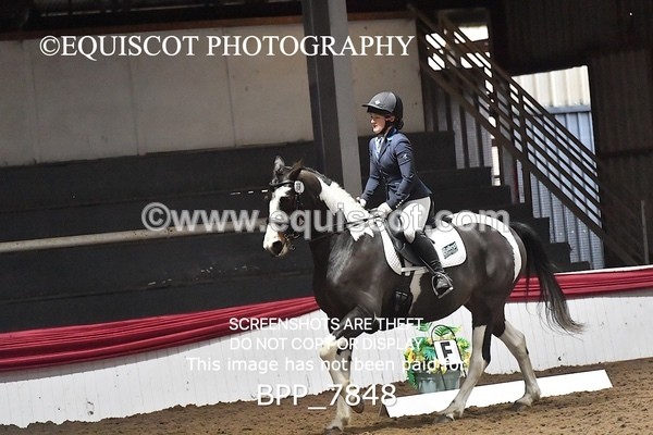 BPP_7848 - ELEM TEST 6