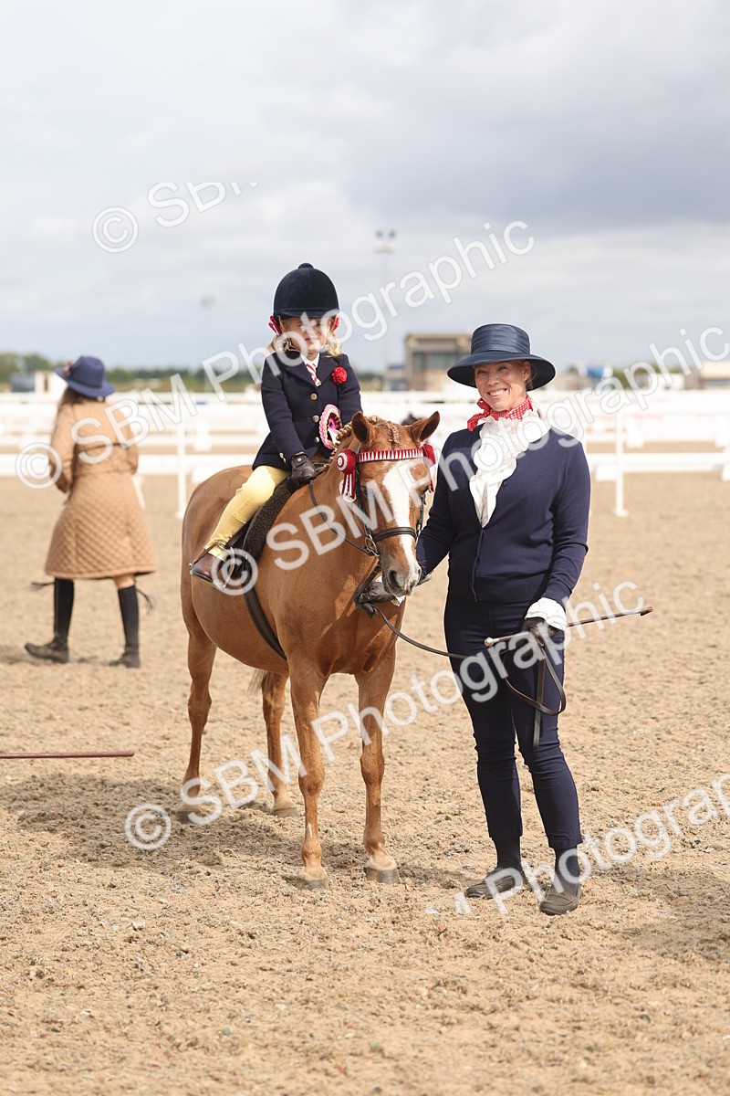 SBM_04591 - Class 19 - Horse/Pony Judge would most like to take home