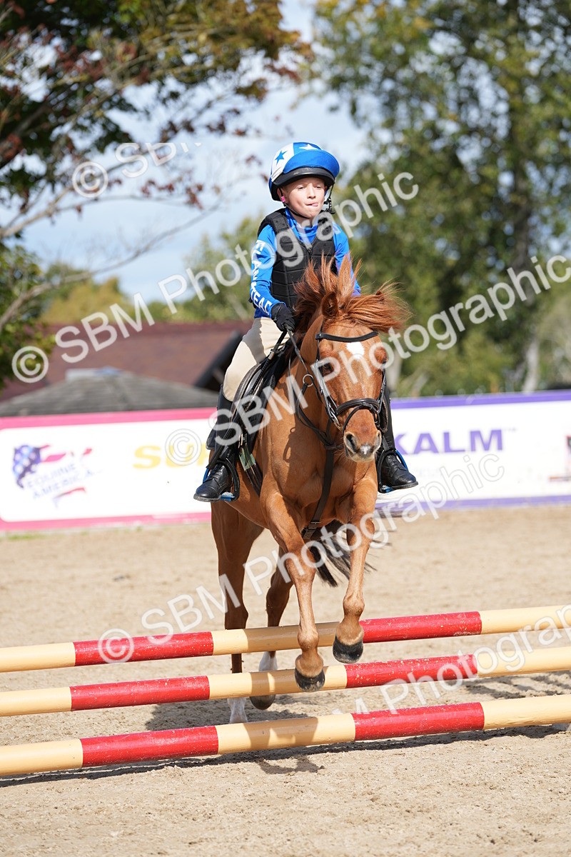 SBM_18039 - J58 - Clear Round 50cm
