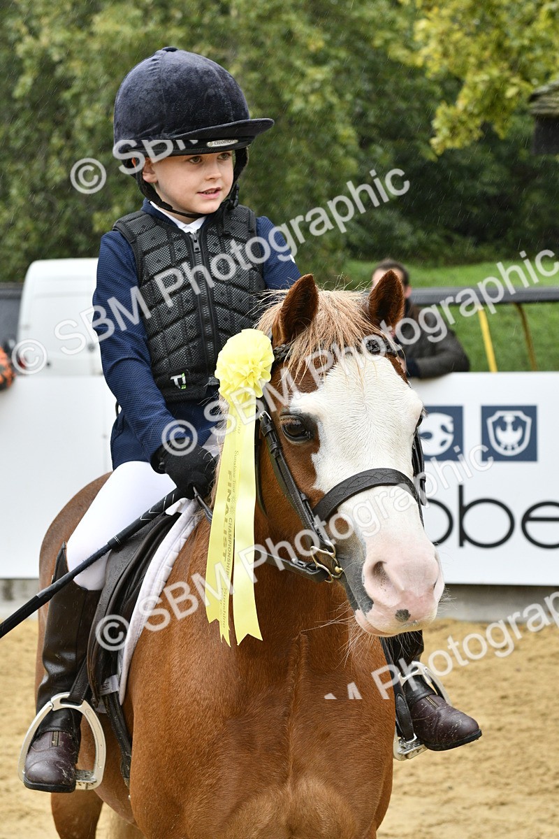 SBM_71003 - J3 - Mini Tour Junior Pony 40cm championship