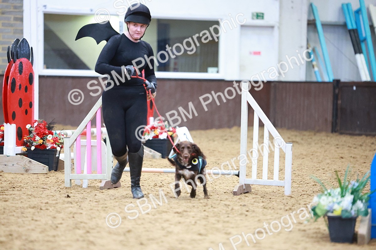 SBM_001731 - Class 3 - Horse & Hound (60cm)