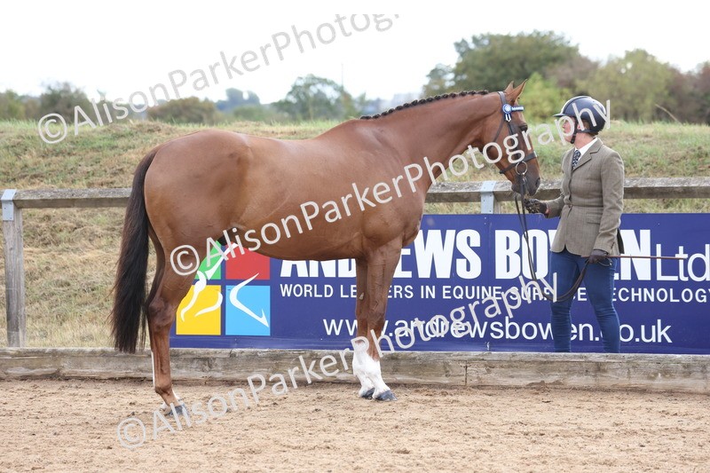 20260831-1950 - Class 5 - Retraining of Racehorses