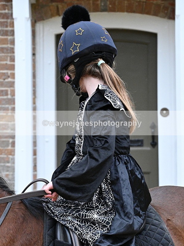 WJ7_6909 - Berks & Bucks - Children's Meet - The Old Farmhouse – Steventon.
