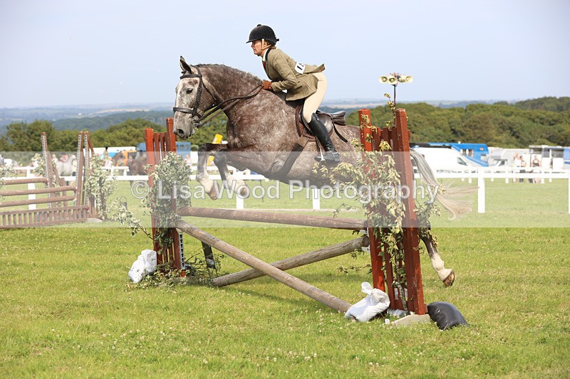JPP_4084 - Class 24: Working Hunter 90cm