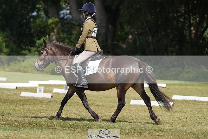 250823A-134741-31079 - Arena B