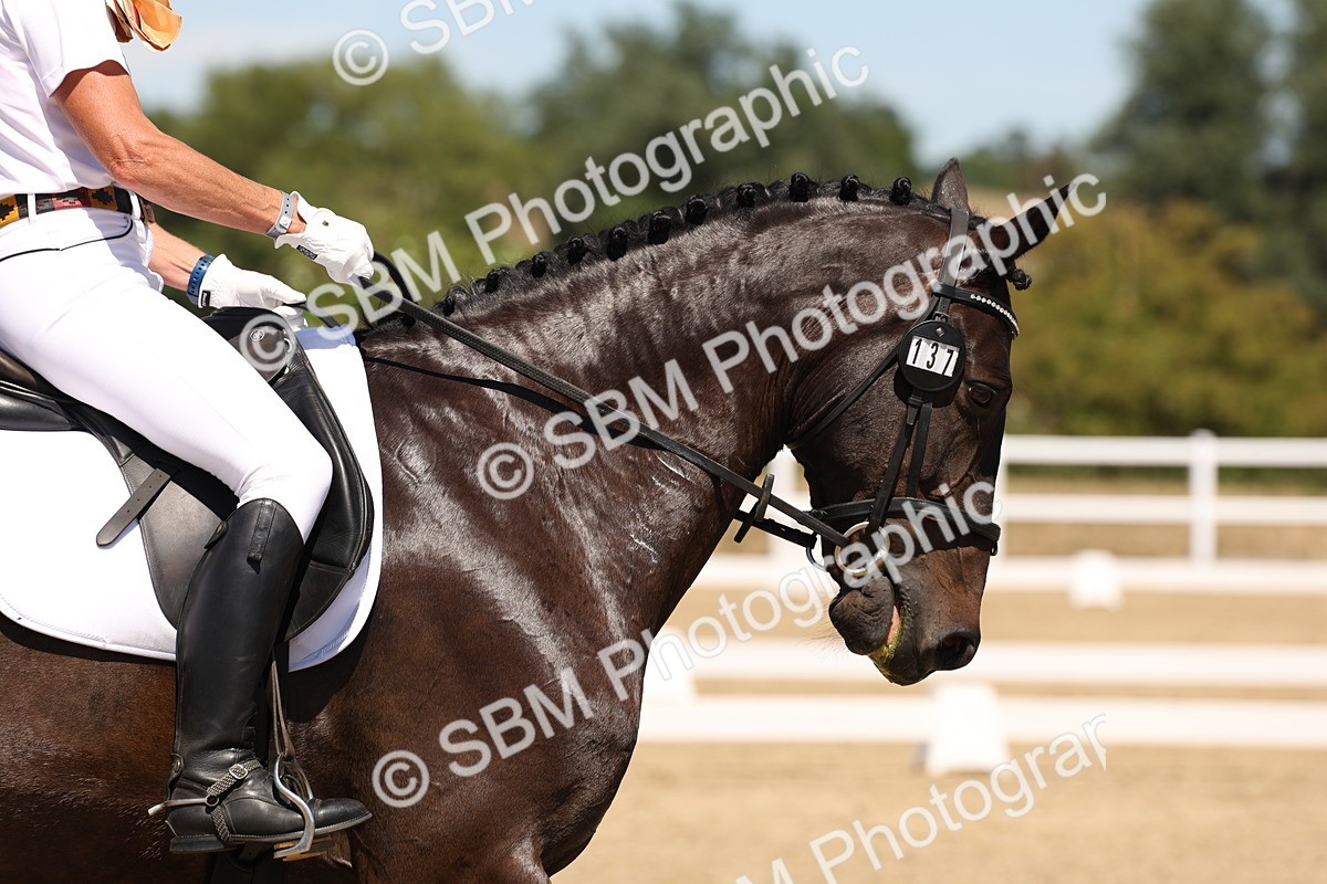 SBM_002785 - Elementary 4