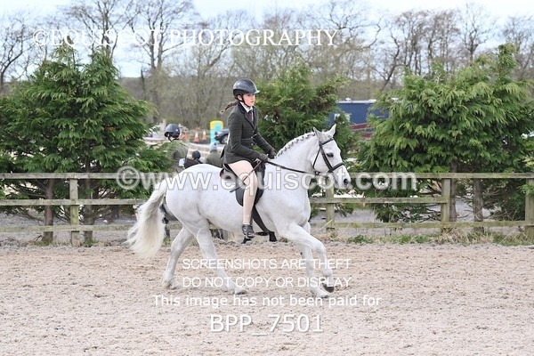 BPP_7501 - RING 1  (RIDDEN HORSES / IN HAND / VETERAN ETC)