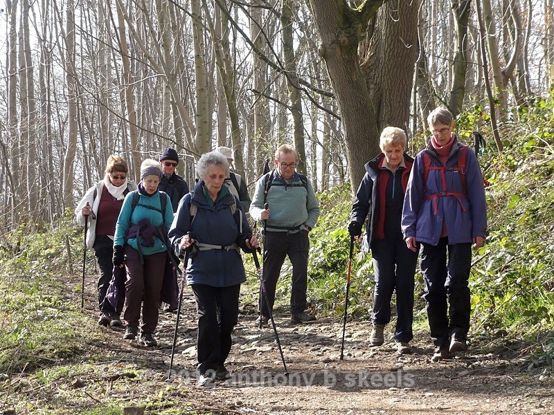 001 Stage  one of the Nidderdale Way on the edge of Sir Henry Wood - The Nidderdale Way Collection