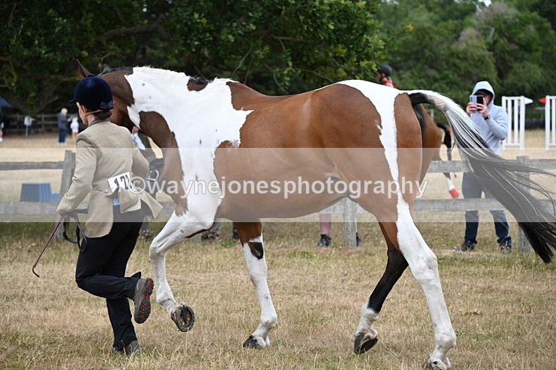 WJ6_8154 - Class 10 Coloured in Hand