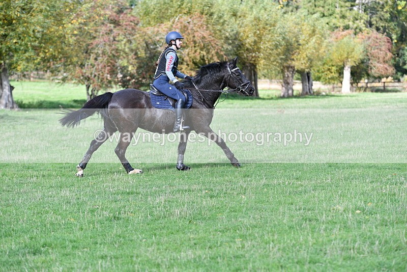 WJ5_7951 - Time 10:31 to 12:01