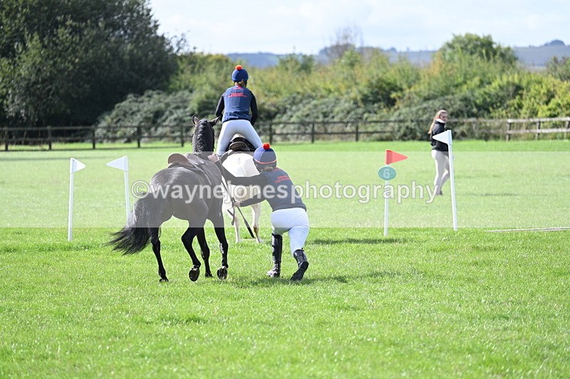 WJ7_8528 - 60cm Pairs