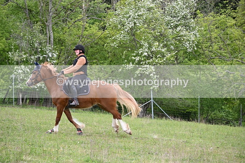 WJ6_2149 - Group 10 A&B Cameras