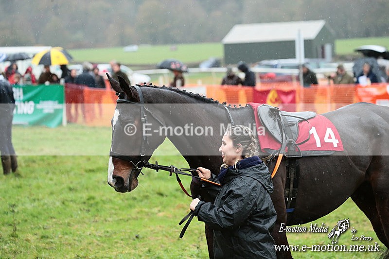 PtP 091125  0268 - Point-to-Point Wales Area Club Lower Machen, Gwent 09/11/25