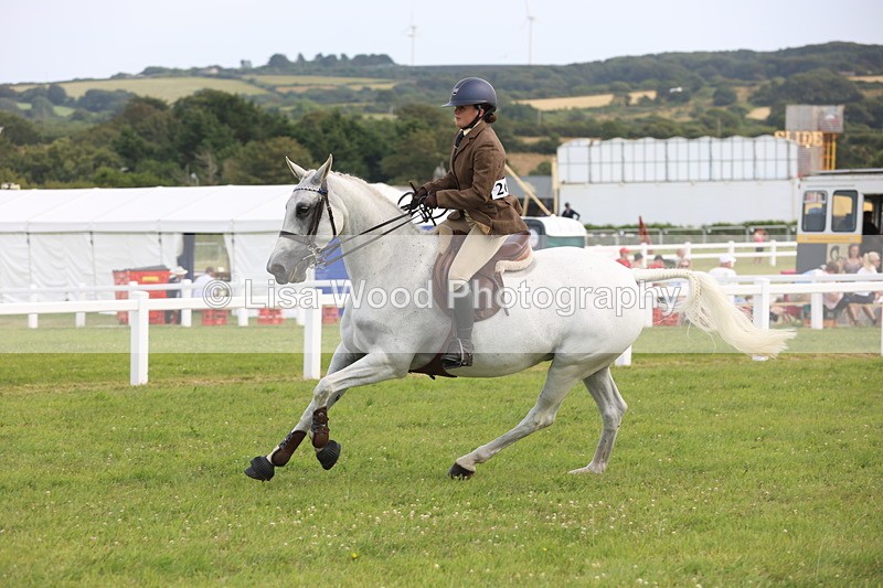 JPP_4170 - Class 25: Working Show Horse