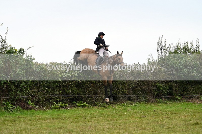 WJ7_4203 - Camera 1 Line 2