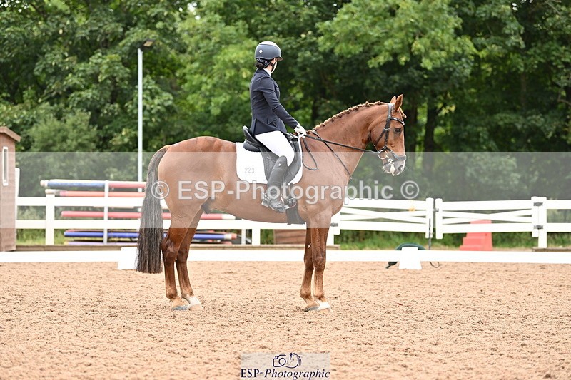 240817A-152023-10059 - 223-Pippa.Knight-KFS.Boston.Burglar