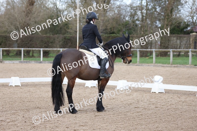 20260301-0858 - Class 5 - Elementary 4