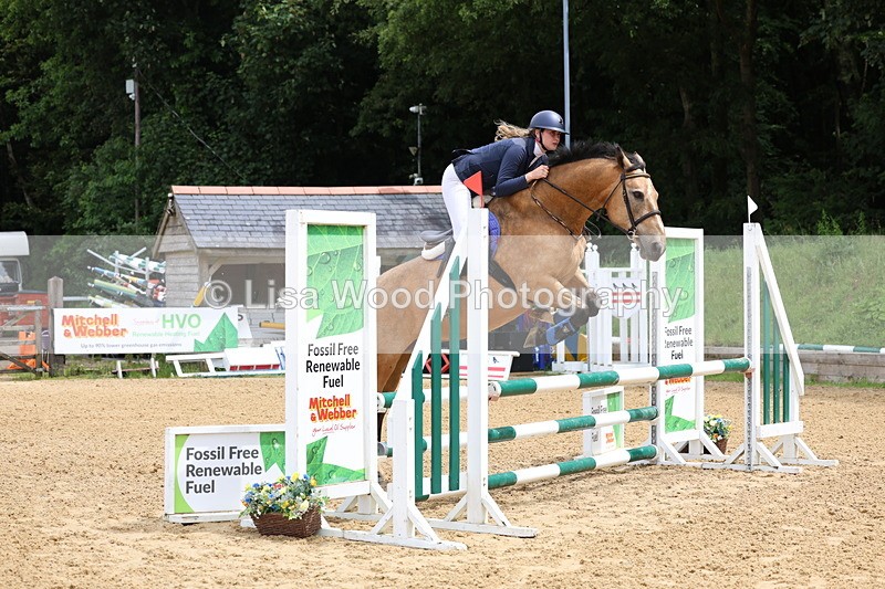 3E7A6280 - Class 4: Senior British Novice/90cm open