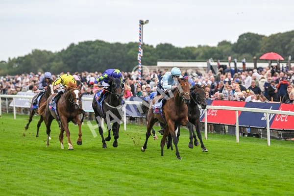 200825-Race 3-Pride Of Arras-1465 - Race 3 3.00pm Sky Bet Great Voltigeur Stakes