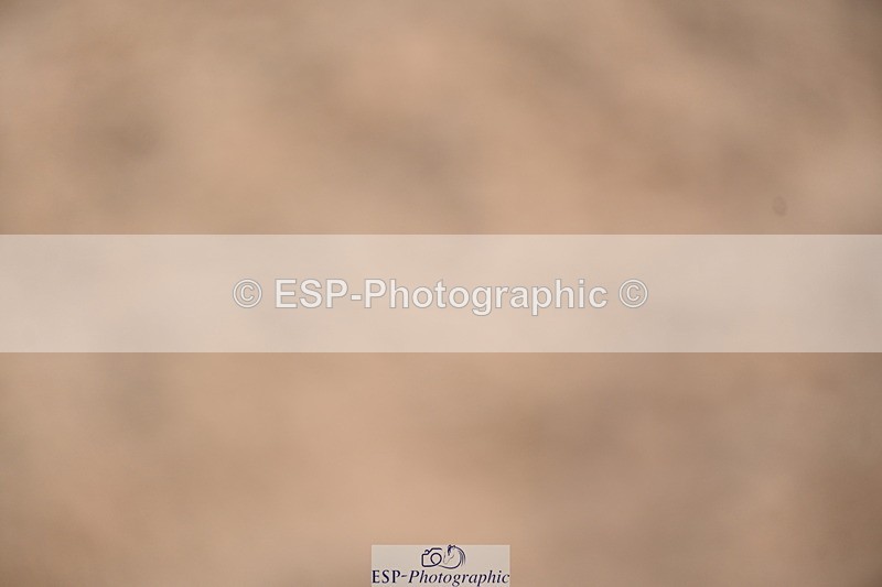 240323A-101306-01328 - DR Prelim 2