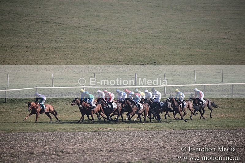 PtP 230219 205 - Vine & Craven Point-To-Point - Barbury 23/02/19