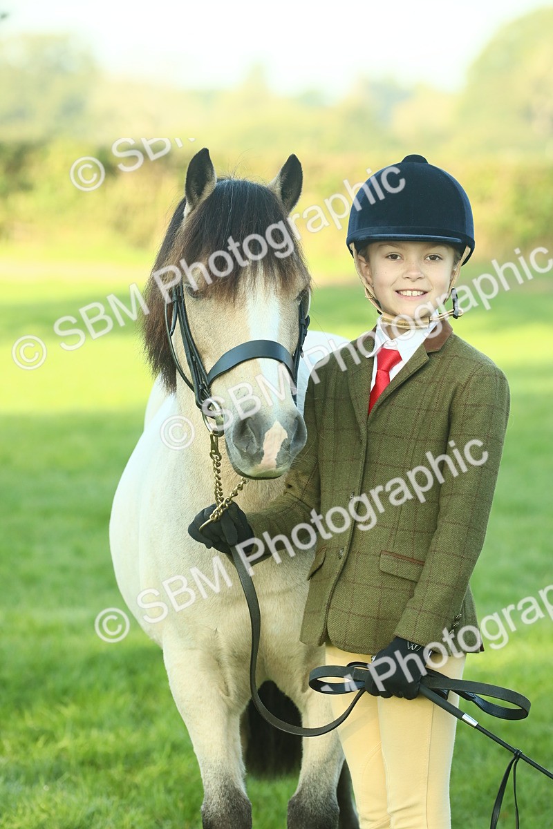 SBM_57500 - S37 - Starters In Hand Showing