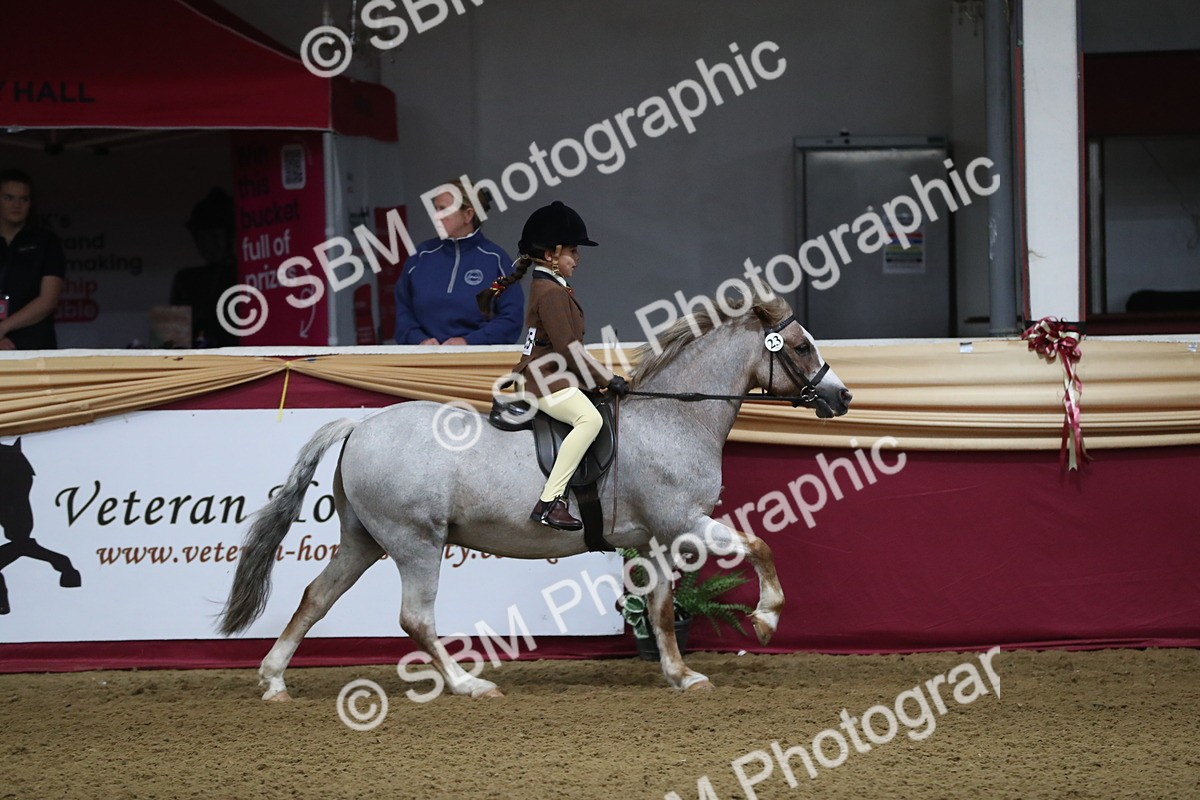 SBM_09287 - Class 101 Equitation (best rider), Junior
