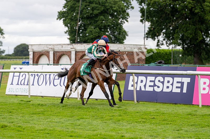 030724-Race 2-The Crafty Mole-0519 - Race 2