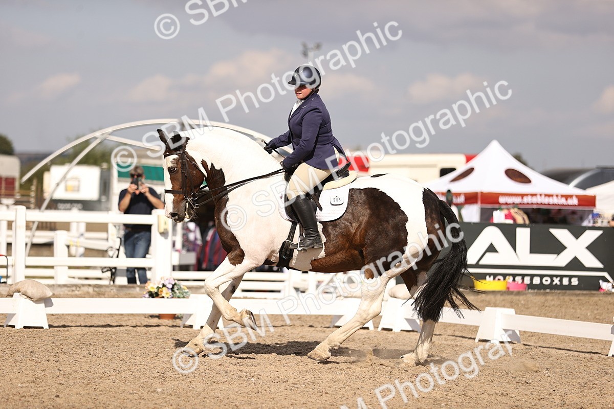 SBM_08038 - Class 38 - Elementary 5